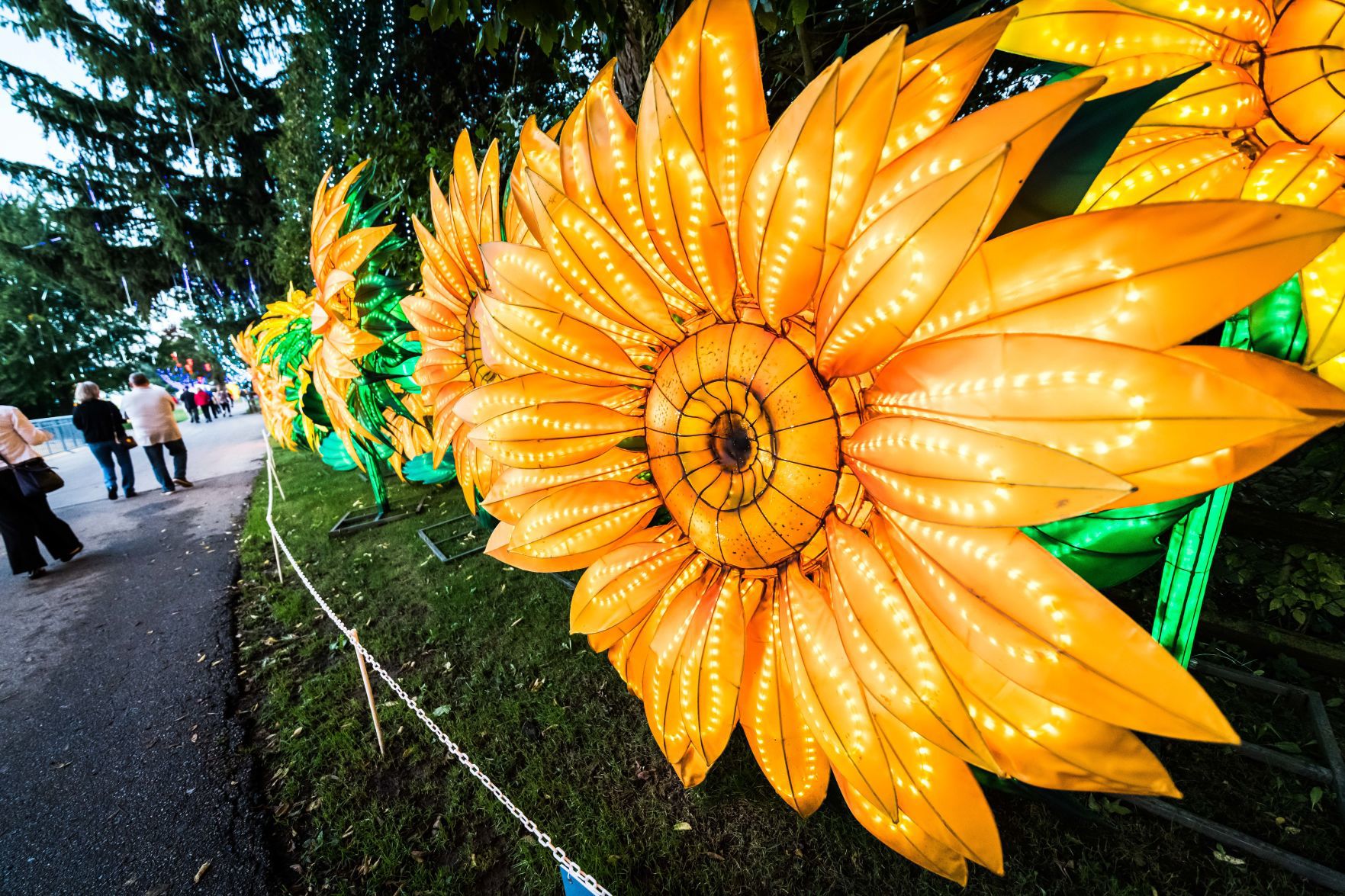 Lantern Festival